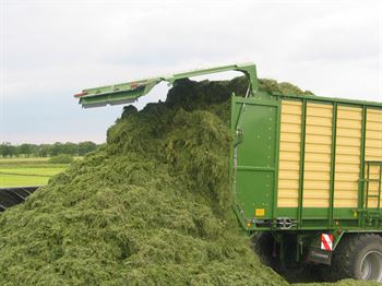 OptiMælk med hvidkløver, 10 kg